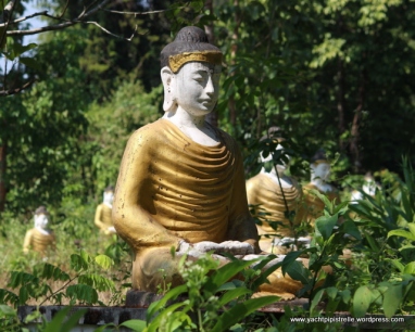 buddhas in the undergrowth